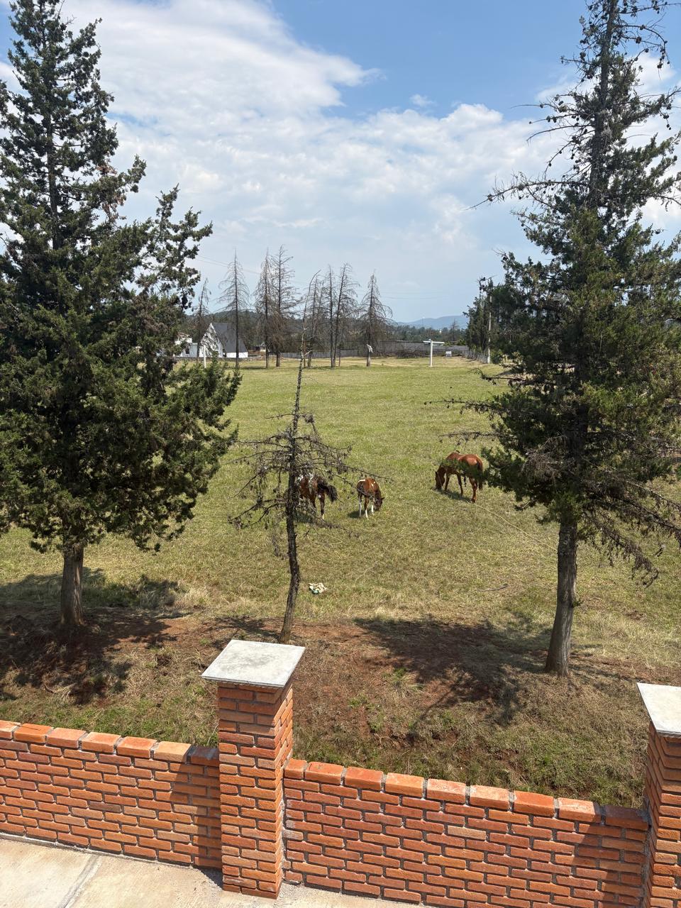 Terreno en Huasca de Ocampo con vista al bosque