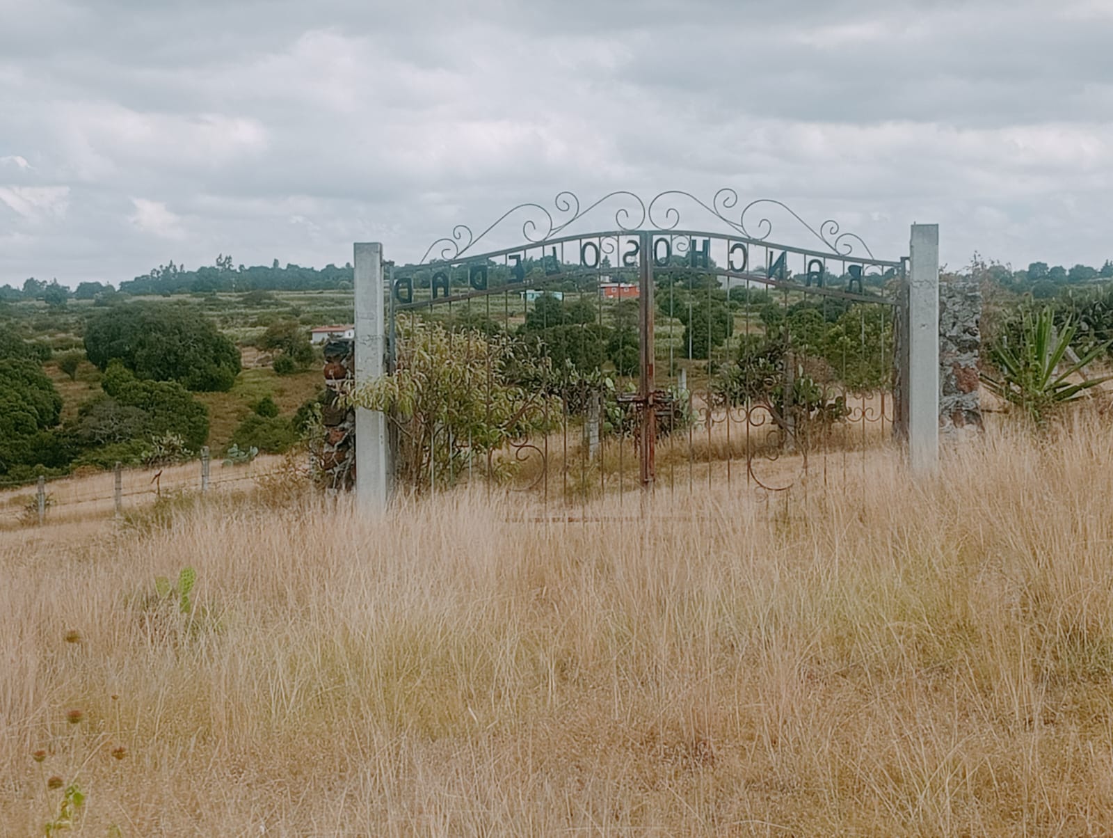 Entrada del rancho con reja de herrería