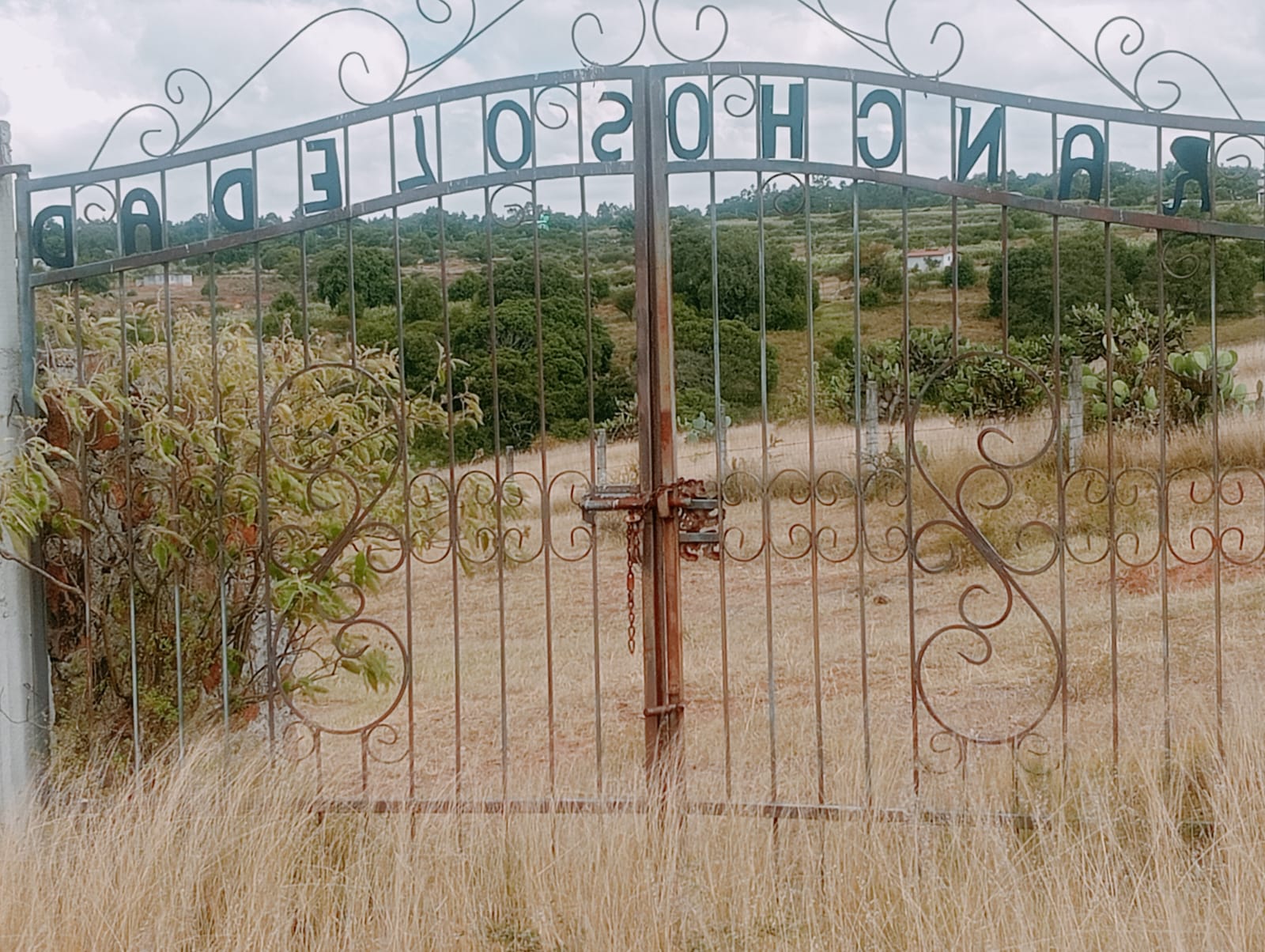 Área del rancho con construcciones existentes