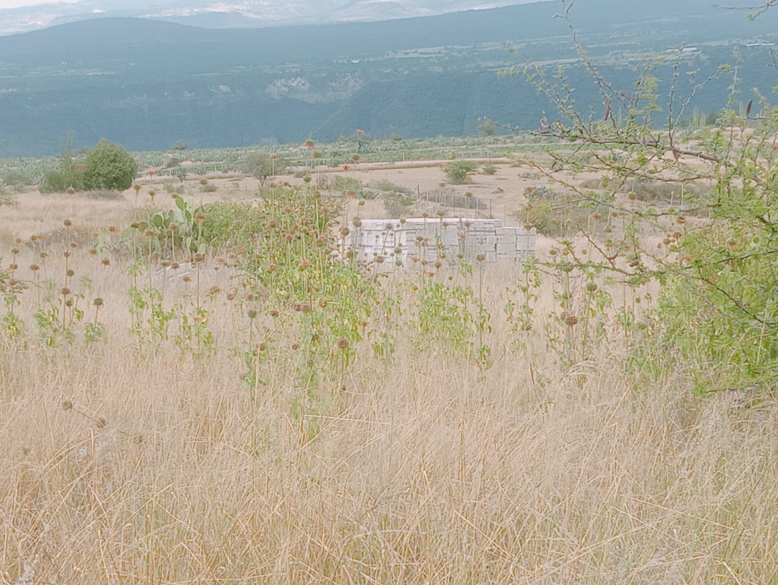 Terreno del rancho con materiales de construcción